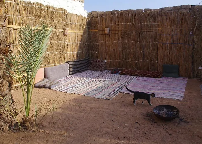 The Palm Circle - - 1 *